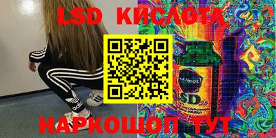 сатива Сланцы