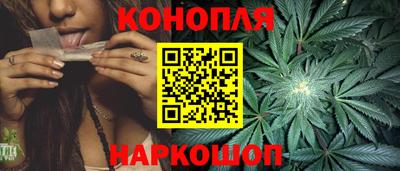 сатива Сланцы