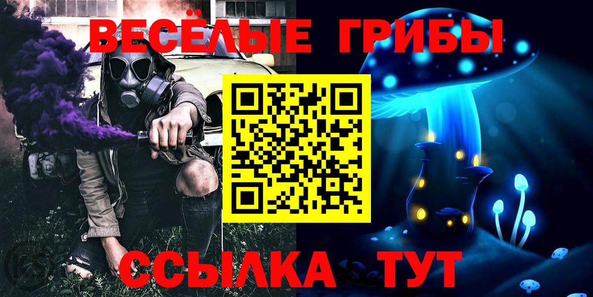 Псилоцибиновые грибы GOLDEN TEACHER Павловский Посад